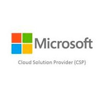 MICROSOFT CSP SQL SERVER 2022 - 1 USER CAL - COMMERCIAL - PERPETUA [ DG7GMGF0FKZW0003 ][ SWS-4738 ]