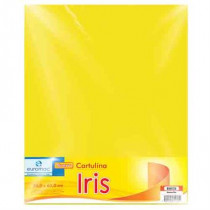 CARTULINA EUROMAC IRIS AMARILLO 50X65CM C/10 [ EI0035 ]