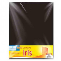 CARTULINA EUROMAC IRIS NEGRO 50X65CM C/10 [ EI0042 ]