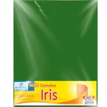 CARTULINA EUROMAC IRIS VDE BANDERA 50X65 C/10 [ EI0045 ]