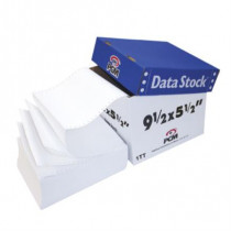 Papel PCM Data Stock Blanco 9.5" x 5.5" 1Tanto C/6000 [ DS00216000B ]