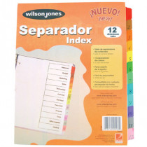 SEPARADOR WILSON JONES 12 DIVISIONES ECONOMICO [ P1348 ]