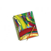 CUADERNO ESTRELLA PROFESIONAL DOBLE WIRE RAYA 100H [ 552 ]