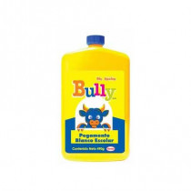 Pegamento Bully Liquido 490 Grs C/12 [ 7501028822504 ]